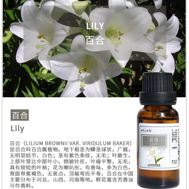 Lilium Brownie Essential Oil | Lily Essential Oil | Bai He Jing You-Pure Chinese Herb™