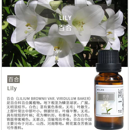 Lilium Brownie Essential Oil | Lily Essential Oil | Bai He Jing You-Pure Chinese Herb™