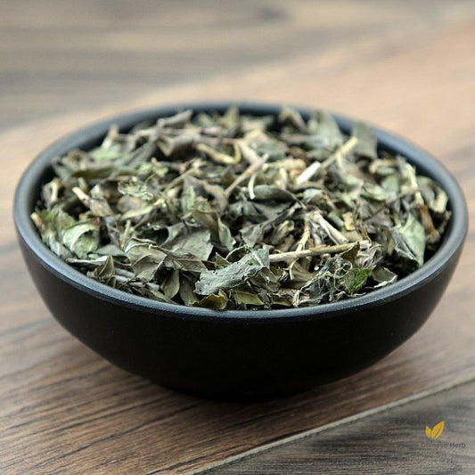 Liu Yue Xue Snow of June Herb Herba Serissae-Pure Chinese Herb™