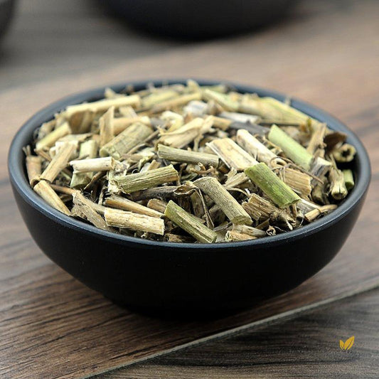 Long Kui Herba Solani Nigri Black Nightshade Herb Solanum Nigrum L.-Pure Chinese Herb™