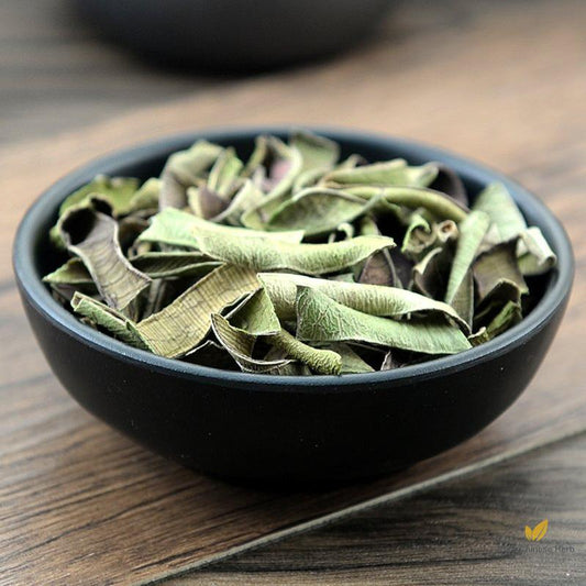 Lu Hui Aloe Barbadensis Miller. Aloe Ferox Miller-Pure Chinese Herb™