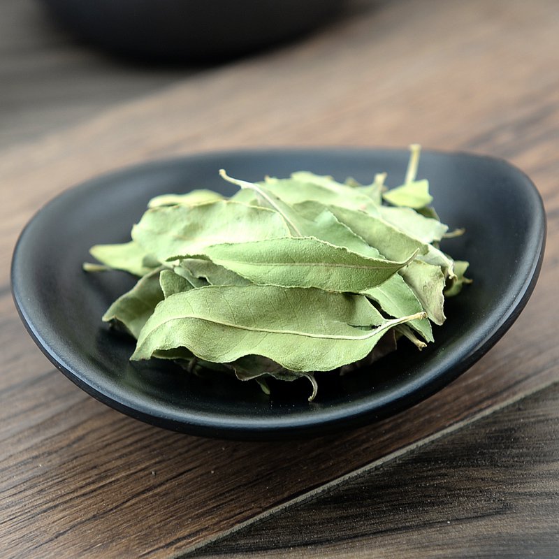 Luo Bu Ma Ye Folium Apocyni Veneti Dogbane Leaf Apocynum Venetum-Pure Chinese Herb™