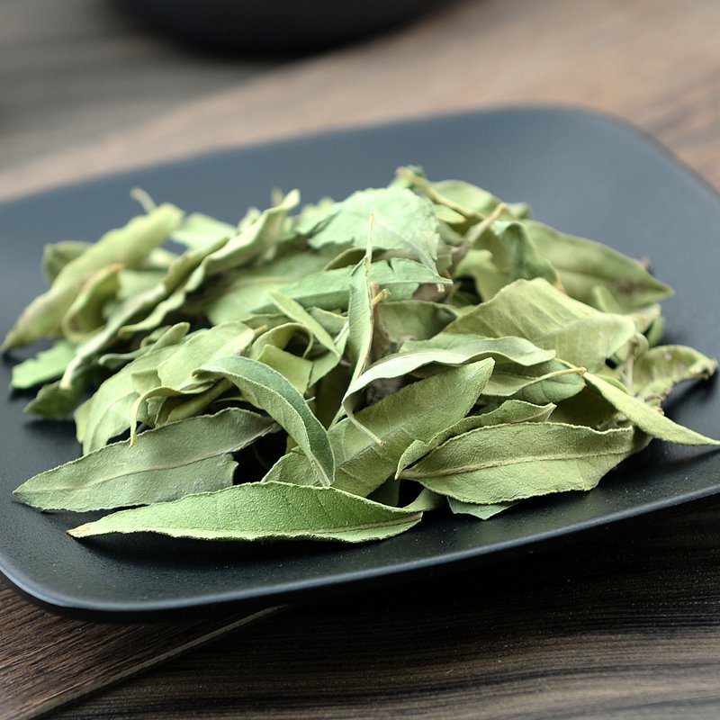 Luo Bu Ma Ye Folium Apocyni Veneti Dogbane Leaf Apocynum Venetum-Pure Chinese Herb™
