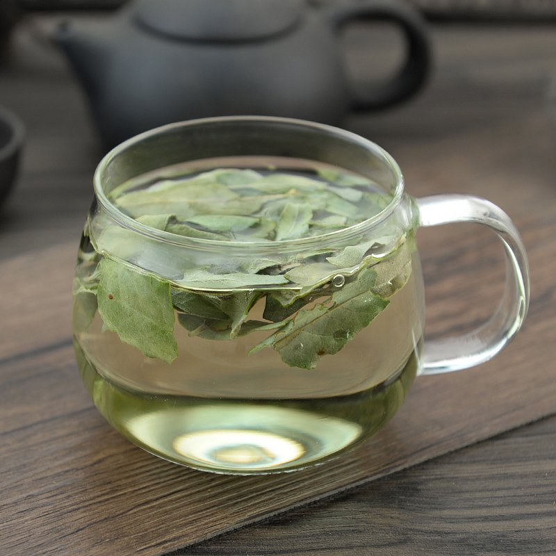 Luo Bu Ma Ye Folium Apocyni Veneti Dogbane Leaf Apocynum Venetum-Pure Chinese Herb™