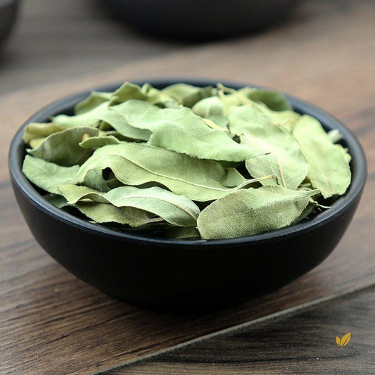 Luo Bu Ma Ye Folium Apocyni Veneti Dogbane Leaf Apocynum Venetum-Pure Chinese Herb™