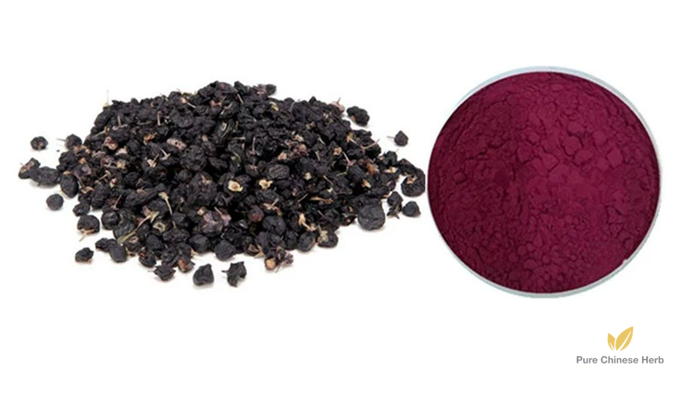 Lycium ruthenicum Extract 20:1 | Black Goji Berry Extract | Hei Guo Go Ji-Pure Chinese Herb™