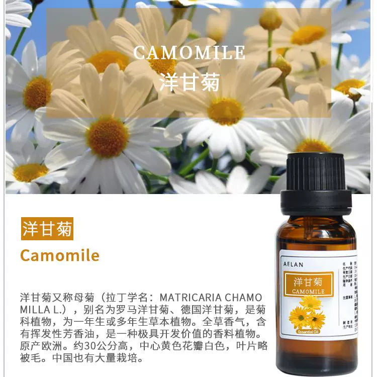 Matricaria Recutita Essential Oil | Chamomile Essential Oil | Yang Gan Ju Jing You-Pure Chinese Herb™