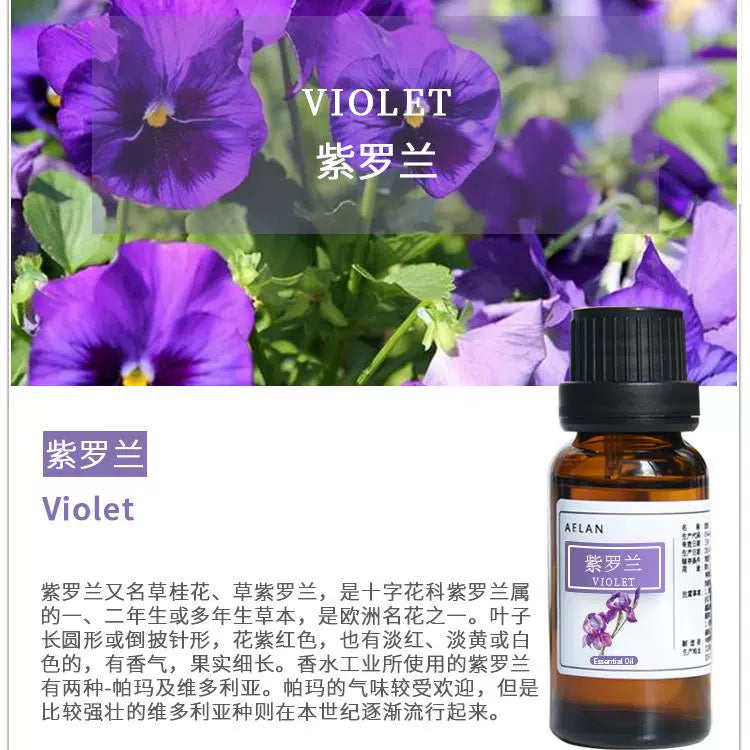 Matthiola Incana Essential Oil | Violet Essential Oil | Zi Luo Lan Jing You-Pure Chinese Herb™