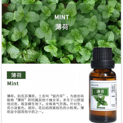 Mentha Canadensis Essential Oil | Mint Essential Oil | Bo He Jing You-Pure Chinese Herb™