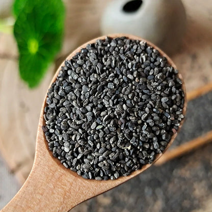 Mentha Canadensis Seeds | Chinese Mint | East Asian Wild Mint | Bo He | 500pcs/bag-Pure Chinese Herb™