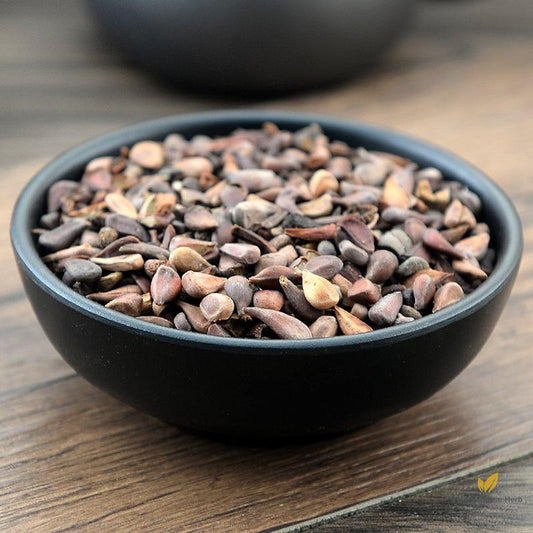 Mu Gua Zi Common Floweringquince Fruit Fructus Chaenomelis-Pure Chinese Herb™