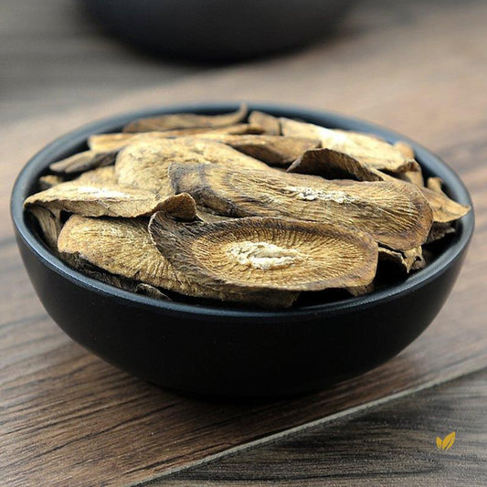 Niu Bang Gen Radix Arctii Great Burdock Achene Root of Great Burdock-Pure Chinese Herb™