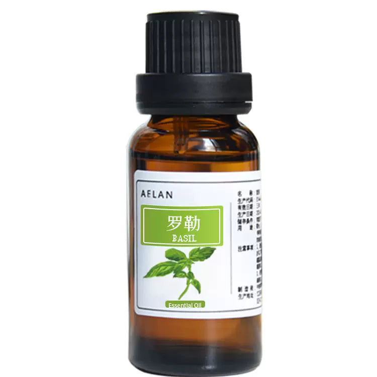 Ocimum Basilicum Essential Oil | Basil Essential Oil | Luo Le Jing You-Pure Chinese Herb™