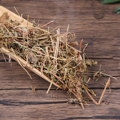 Organic Herba Cardiospermum Halicacabum | Lesser Balloon Vine | Dào Dì Líng-Pure Chinese Herb™