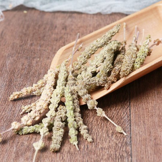 Organic Herba Fineleaf Schizonepeta | Herba Schizonepetae | Jīng Jiè-Pure Chinese Herb™