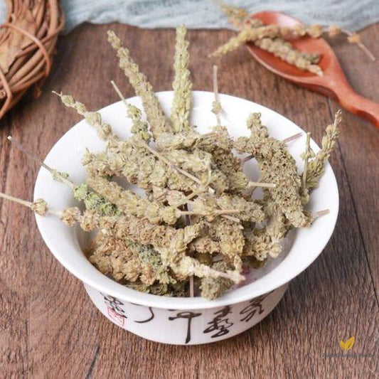 Organic Herba Fineleaf Schizonepeta | Herba Schizonepetae | Jīng Jiè-Pure Chinese Herb™
