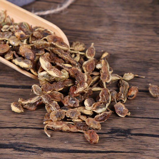 Organic Herba Fructus Sophorae | Pagodatree Pod | Fruit of Sophora japonica | Huái Jiǎo-Pure Chinese Herb™