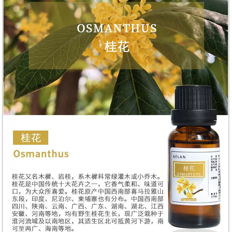 Osmanthus Fragrans Essential Oil | Osmanthus Essential Oil | Gui Hua Jing You-Pure Chinese Herb™