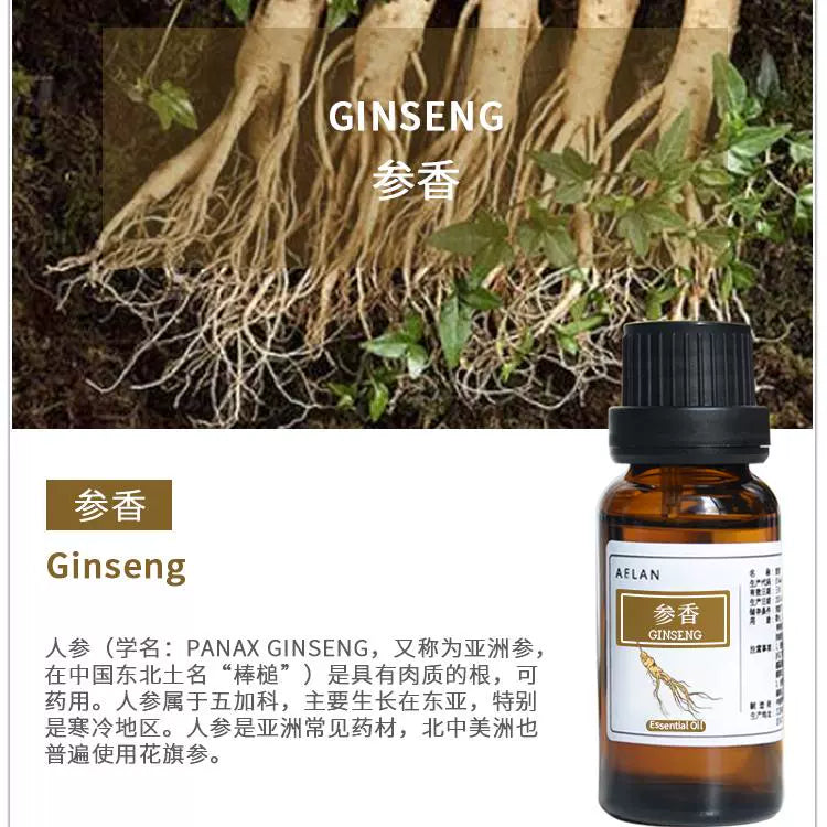 Panax Ginseng Essential Oil | Ginseng Essential Oil | Shen Xiang Jing You-Pure Chinese Herb™