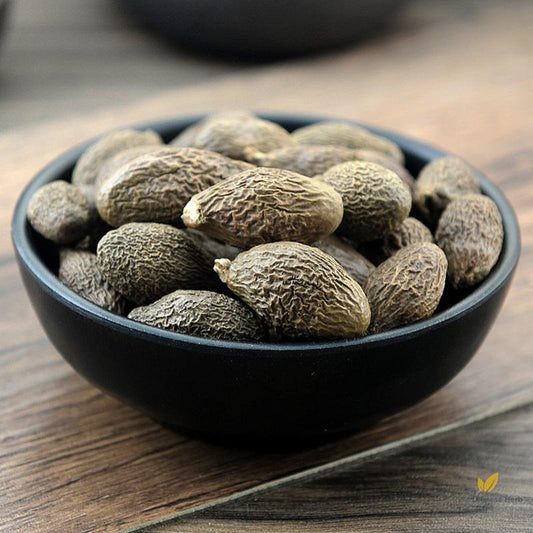 Pang Da Hai Semen Sterculiae Lychnophorae Boat-fruited Scaphium Seed-Pure Chinese Herb™