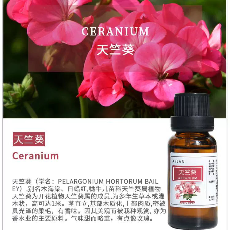 Pelargonium hortorum Essential Oil | Geranium Essential Oil | Tian Zhu Kui Jing You-Pure Chinese Herb™