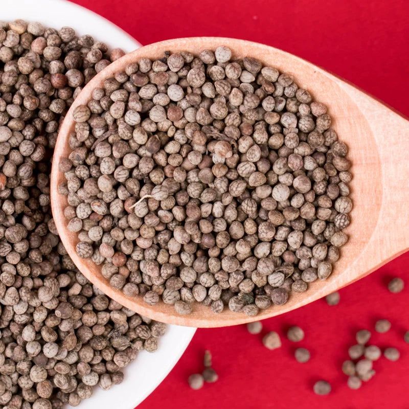 Perilla frutescens Seeds | Beefsteak Plant | Zi Su | 300pcs/bag-Pure Chinese Herb™