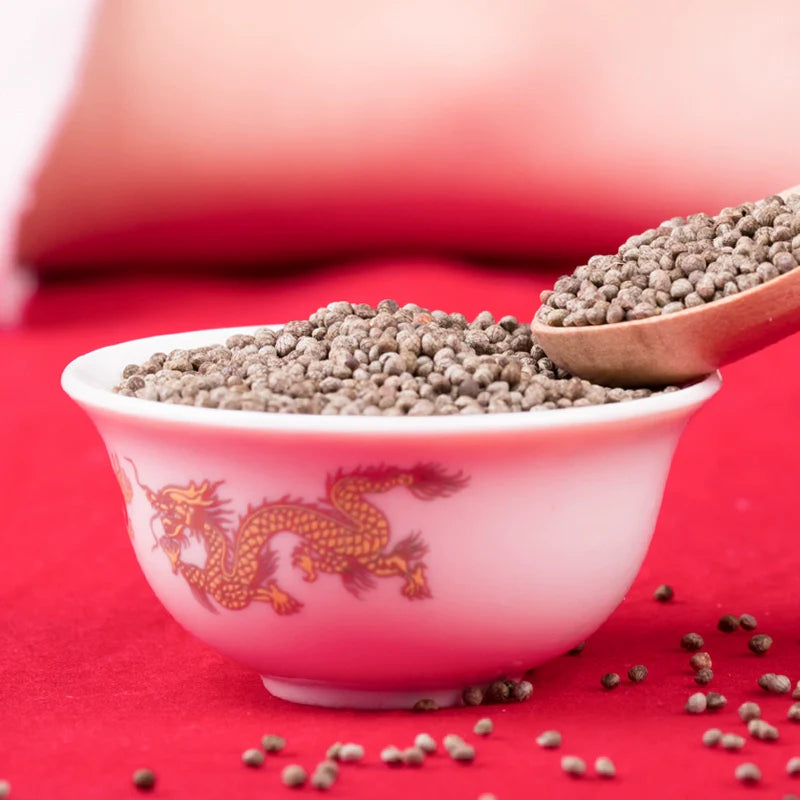 Perilla frutescens Seeds | Beefsteak Plant | Zi Su | 300pcs/bag-Pure Chinese Herb™