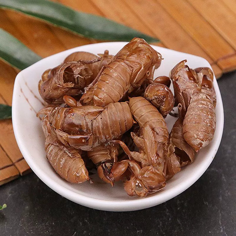 Periostracum Cicadae Powder Cicada Slough Herb Powder Chan Tui Fen-Pure Chinese Herb™