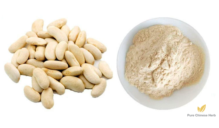 Phaseolus Vulgaris Extract Phaseollin 2% | Kidney Bean Extract | Cai Dou-Pure Chinese Herb™