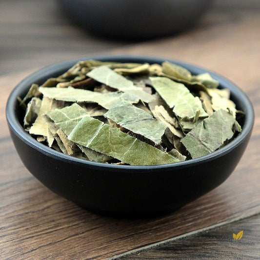 Pi Pa Ye Loguat Leaf Folium Eriobotryae Eriobotrya Japonica (Thunb.) Lindl.-Pure Chinese Herb™