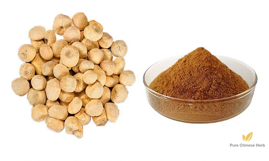 Pinellia Tuber Extract 20:1 | Tuber of Pinellia | Ban Xia-Pure Chinese Herb™