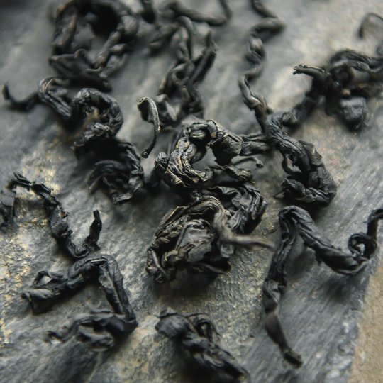 Premium Folium Eucommiae | Dried Eucommia Leaf | Eucommia ulmoides Oliv. | Dù Zhòng Yè-Pure Chinese Herb™