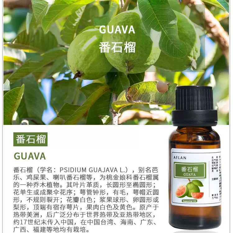 Psidium Guajava Essential Oil | Guava Essential Oil | Fan Shi Liu Jing You-Pure Chinese Herb™
