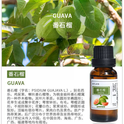 Psidium Guajava Essential Oil | Guava Essential Oil | Fan Shi Liu Jing You-Pure Chinese Herb™