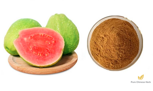 Psidium Guajava Extract 20:1 | Common Guava Extract | Fan Shi Liu-Pure Chinese Herb™