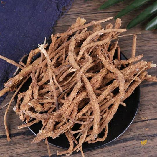 Pure Natural Thickleaf Croton Root | Croton Crassifolius | Jī Gǔ Xiāng-Pure Chinese Herb™