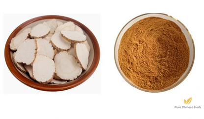 Radix Angelicae Dahuricae Extract 20:1 | Dahurian Angelica Root Extract | Bai Zhi-Pure Chinese Herb™