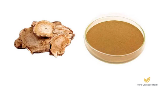 Radix Angelicae Pubescentis Extract 20:1 | Pubescent Angelica Root | Du Huo-Pure Chinese Herb™