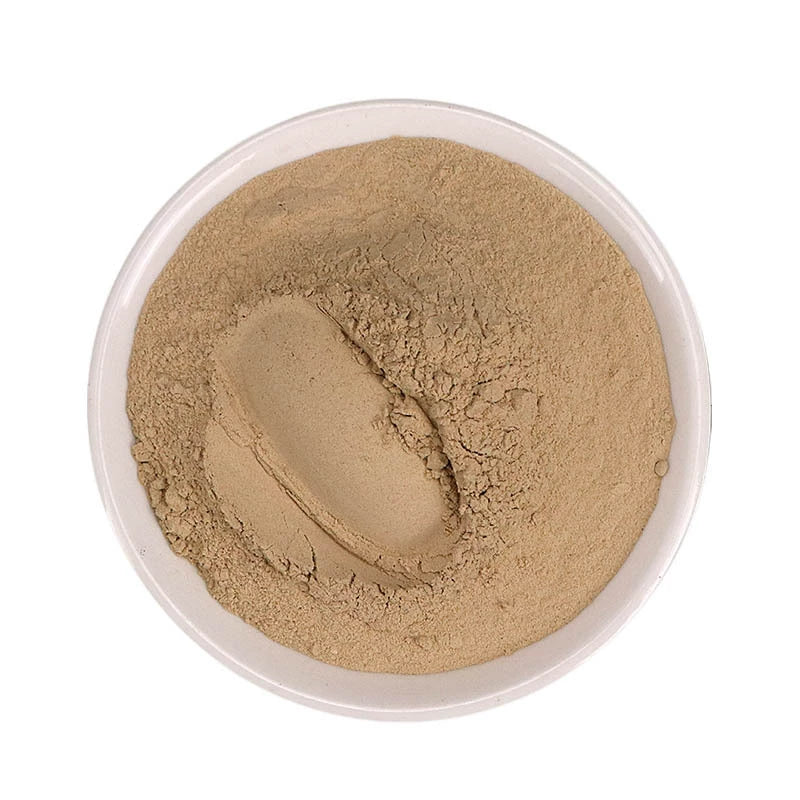 Radix Glehniae Powder Coastal Glehnia Root Herb Powder Bei Sha Shen Fen-Pure Chinese Herb™