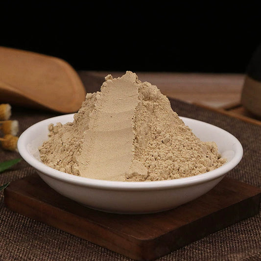 Radix Glehniae Powder Coastal Glehnia Root Herb Powder Bei Sha Shen Fen-Pure Chinese Herb™