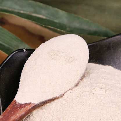 Radix Isatidis Powder Indigowoad Root Herb Powder Ban Lan Gen Fen-Pure Chinese Herb™