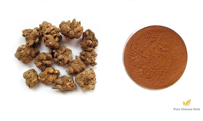 Radix Ranunculi Ternati Extract 20:1 | Ranunculus Ternatus Root Extract | Mao Zhao Cao-Pure Chinese Herb™