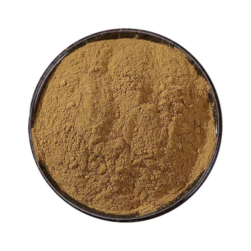 Radix et Rhizoma Rhei Powder Raw Rhubarb Herb Powder Sheng Da Huang Fen-Pure Chinese Herb™