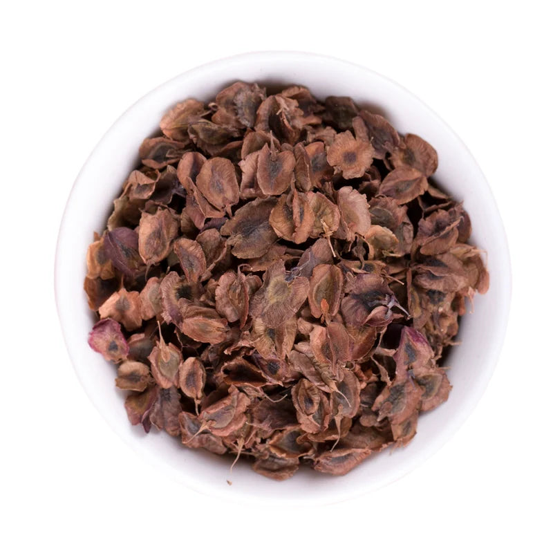Rheum Palmatum Seeds | Chinese Rhubarb | Turkish Rhubarb Da Huang | 100pcs/bag-Pure Chinese Herb™