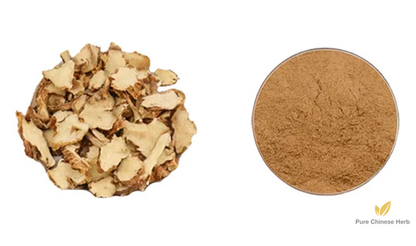 Rhizoma Anemarrhenae Extract 20:1 | Common Anemarrhena Rhizome Extract | Zhi Mu-Pure Chinese Herb™