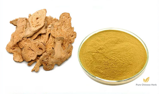 Rhizoma Atractylodis Macrocephalae Extract 20:1 | Largehead Atractylodes Rhizome Extract | Bai Zhu-Pure Chinese Herb™