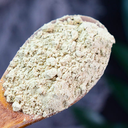 Rhizoma Atractylodis Macrocephalae Powder Largehead Atractylodes Rhizome Herb Powder Bai Zhu Fen-Pure Chinese Herb™