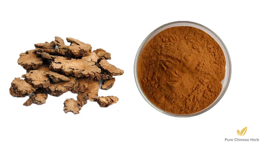 Rhizoma Chuanxiong Extract 20:1 | Szechuan Lovage Rhizome | Chuan Xiong-Pure Chinese Herb™