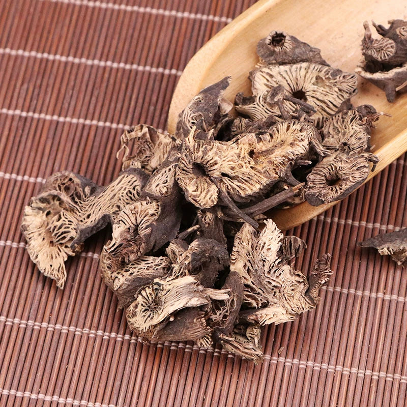 Rhizoma Cimicifugae Powder Largetrifoliolious Bugbane Rhizome Herb Powder Sheng Ma Fen-Pure Chinese Herb™
