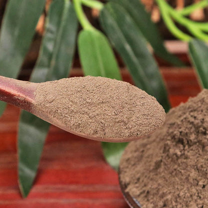 Rhizoma Cimicifugae Powder Largetrifoliolious Bugbane Rhizome Herb Powder Sheng Ma Fen-Pure Chinese Herb™